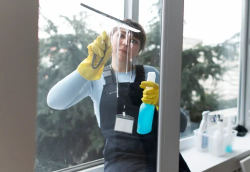 Nettoyage de vitres intérieures et extérieures à Saint-Priest-Bramefant